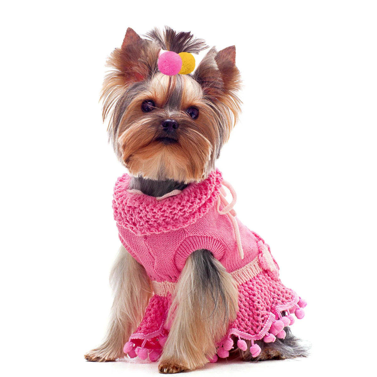 10/20/30PCS Ball Shape Dog Bows With Rubber - MyPetDollar.com