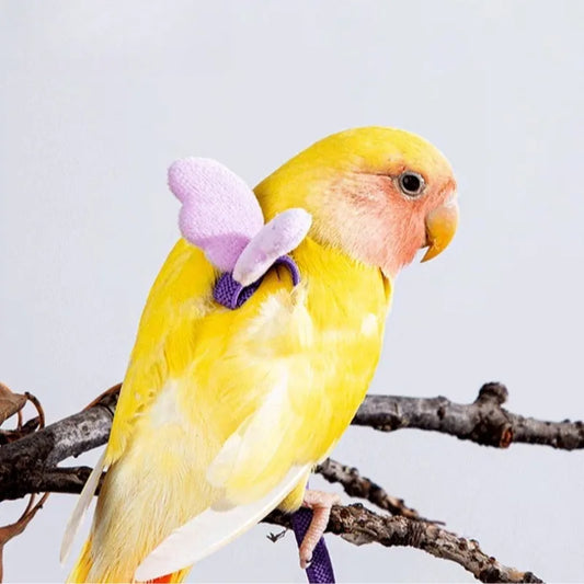 Parrot Bird Harness Leash Adjustable - MyPetDollar.com