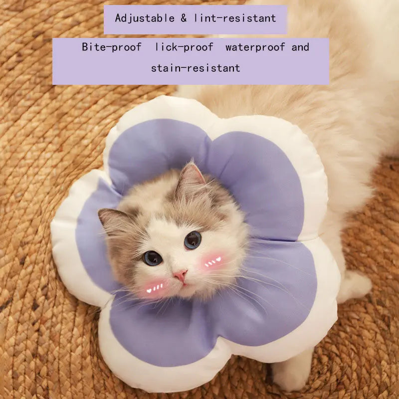 Pet Elizabeth Collar for Cats & Dogs Soft - MyPetDollar.com