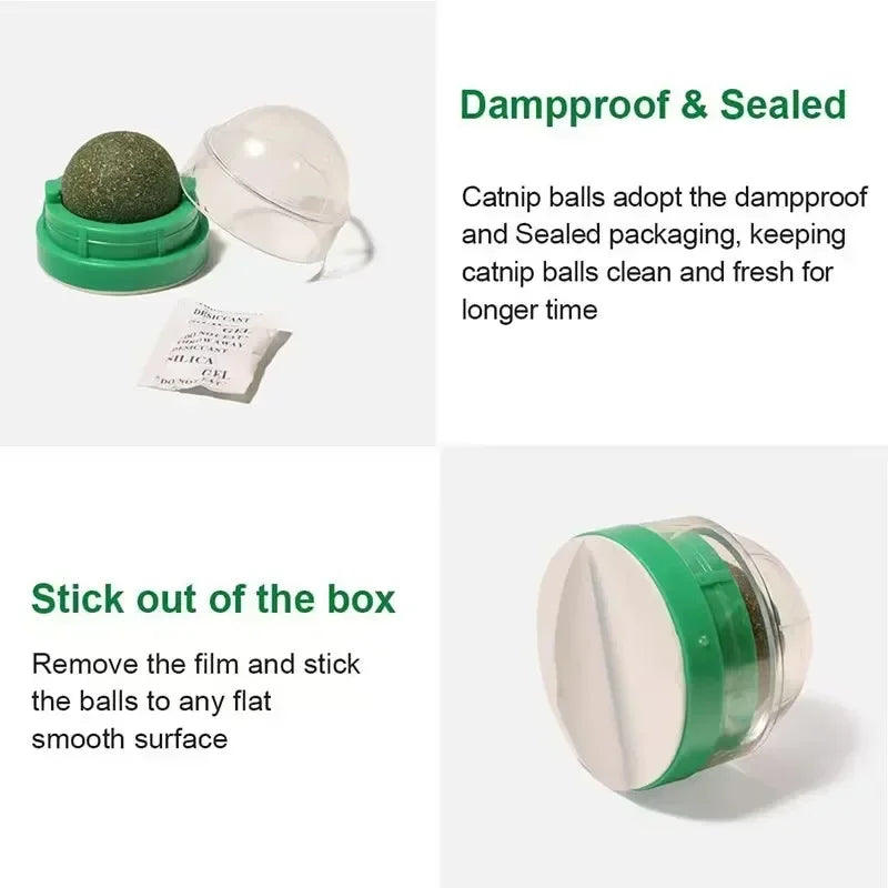 Catnip Cat Wall Sticky Ball Toy Natural Cat - MyPetDollar.com