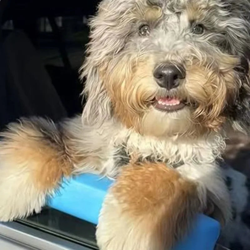 Car Window Dogs Chin Support Pad Soft EVA - MyPetDollar.com