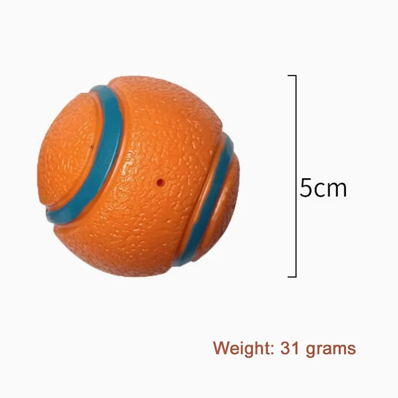 Interactive Durable Squeaky Dog Ball Toy