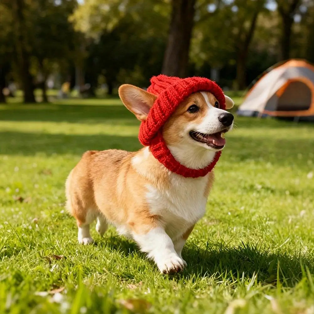 Pet Cat Hat Cute Cold Weather Windproof - MyPetDollar.com