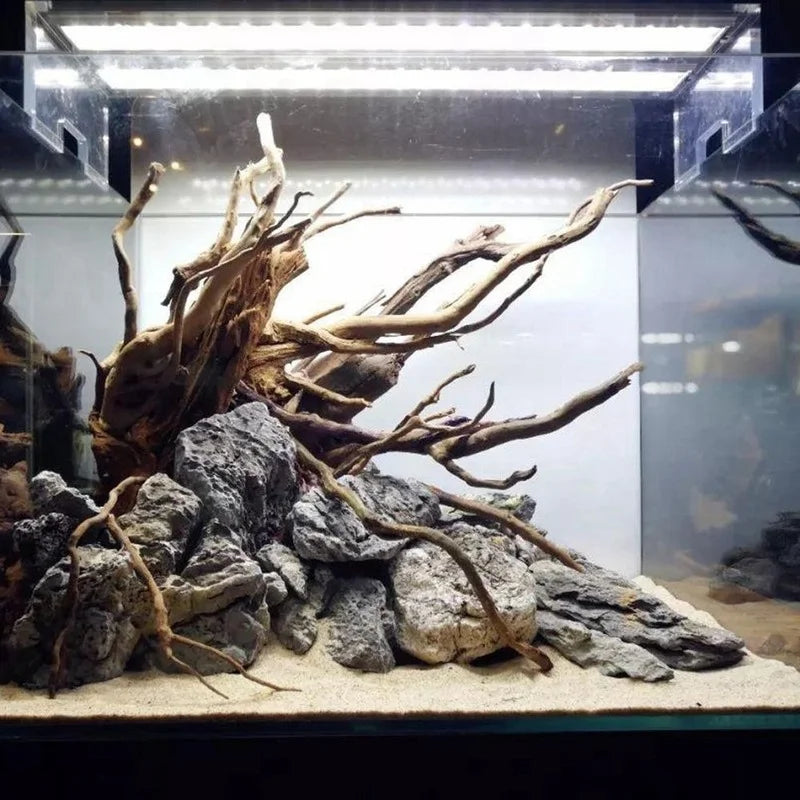 1 Pcs Natural Tree Trunk Aquarium Decoration - MyPetDollar.com