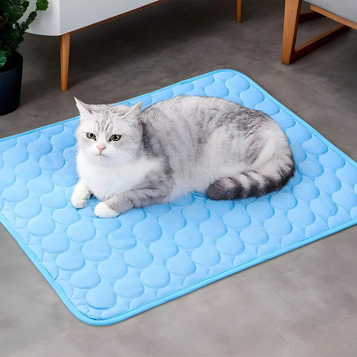 Pet Cooling Ice Silk Pads Dog Cooling Mat - MyPetDollar.com
