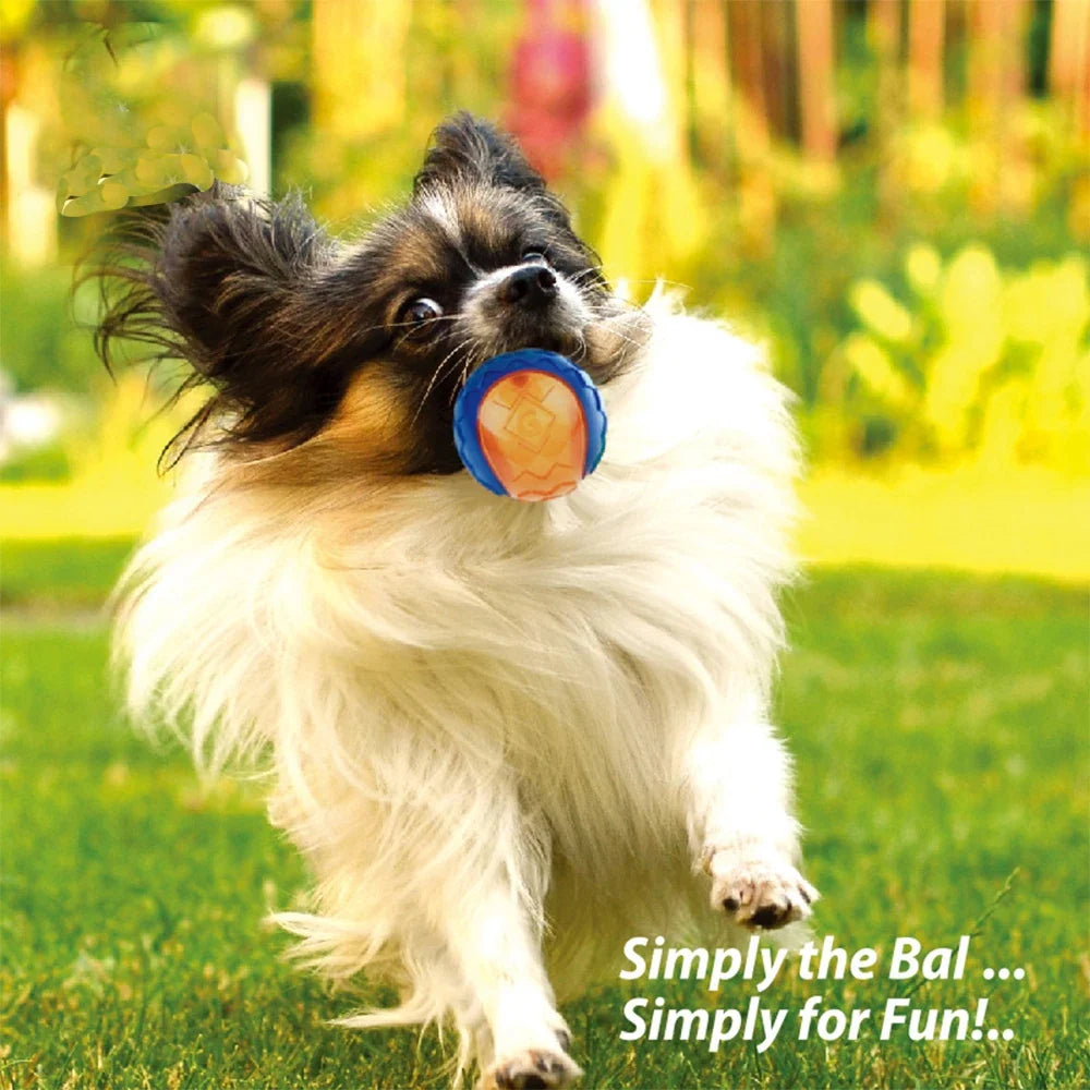 Pet Dog Squeaky Toys Ball Puppy Chew Toys - MyPetDollar.com