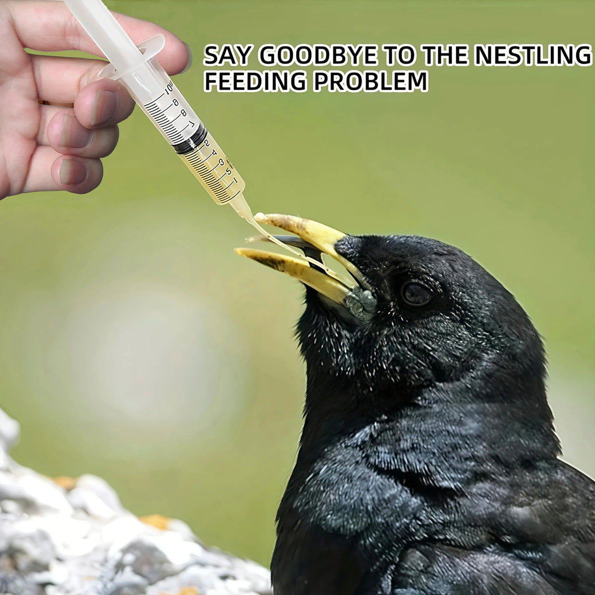 30Pcs Bendable Bird Feeding Set, Safe - MyPetDollar.com