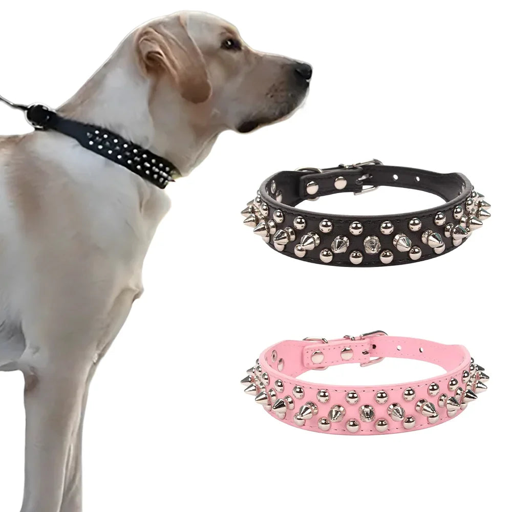 Pet Anti-Chew Collar, Studded Dog Collar for - MyPetDollar.com