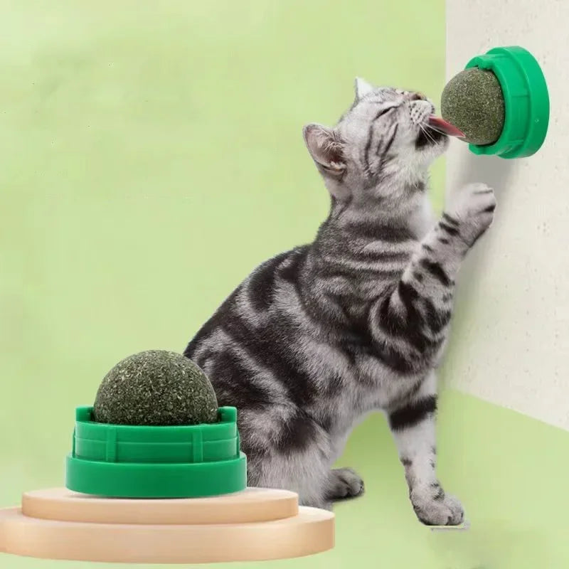 Catnip Cat Wall Sticky Ball Toy Natural Cat - MyPetDollar.com