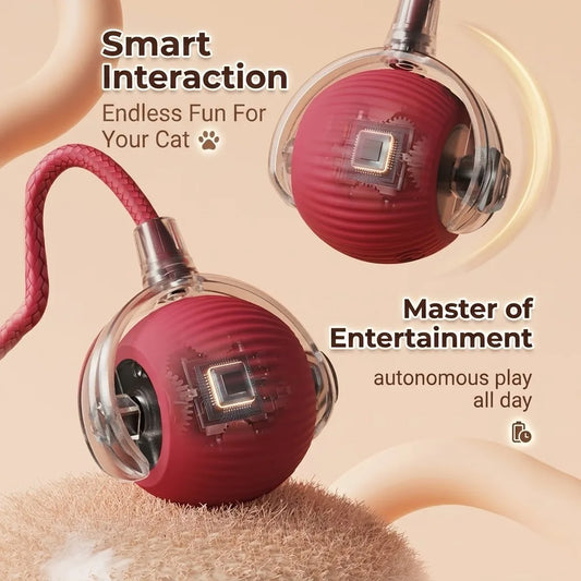 Interactive Cat Toy with Automatic Rolling - MyPetDollar.com