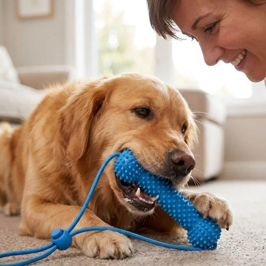 Bite-Resistant Dog Teething Stick - MyPetDollar.com
