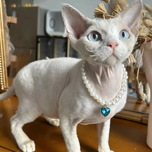 Fashion Luxury Beaded Pearl Pet Choker Multi - MyPetDollar.com