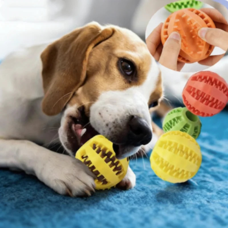 Interactive Silicone Rubber Ball for Dogs - MyPetDollar.com