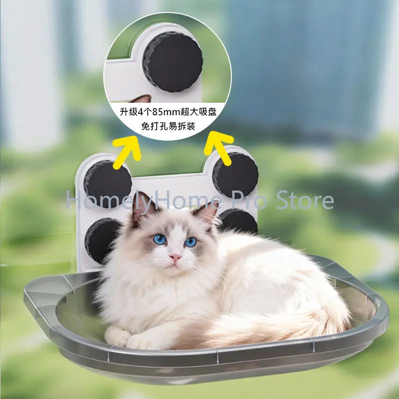 Cat hammock window glass suction cup cat - MyPetDollar.com