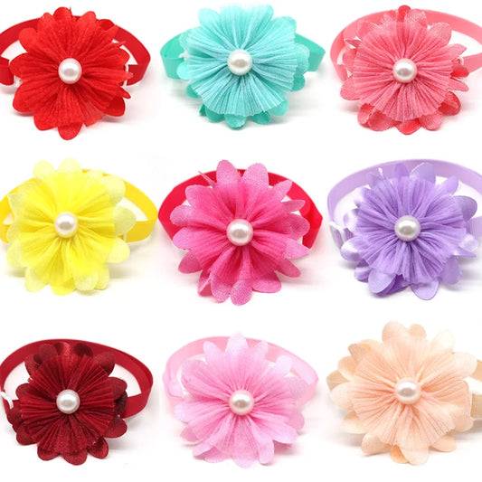 50/100pcs Dog Bowtie Spring Pearl - MyPetDollar.com
