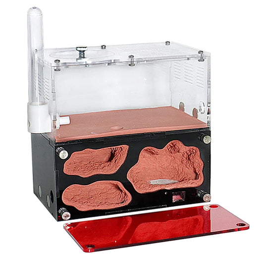 Acrylic Ant Farm Temperature Control - MyPetDollar.com