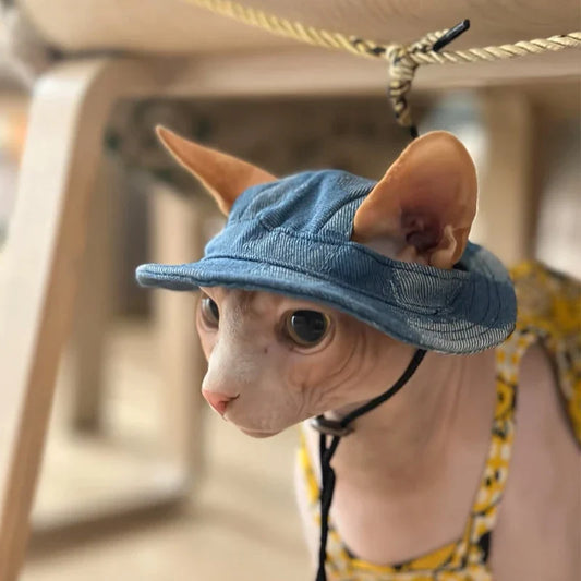 Cotton Cat Hat With Ear Holes For Sphynx - MyPetDollar.com