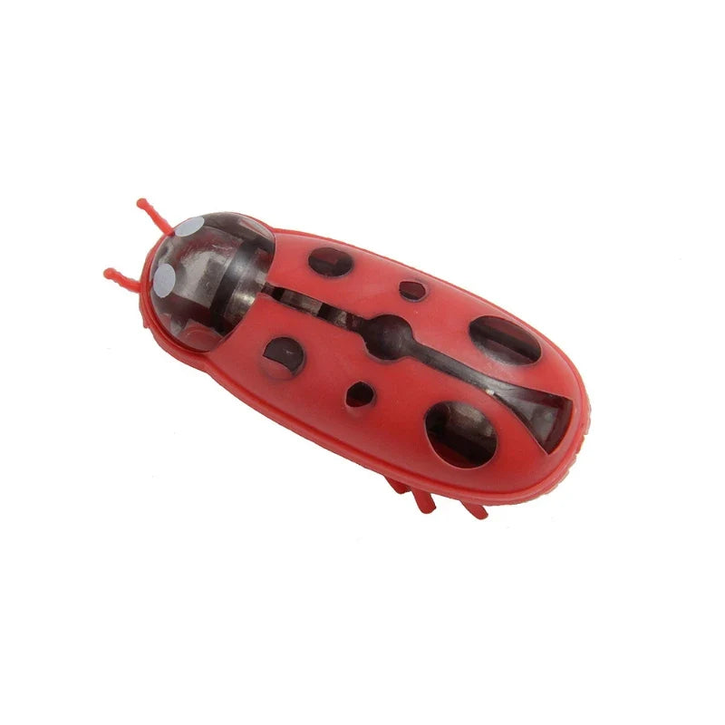 1PC Electric Bug Cat Toy Automatic Flip - MyPetDollar.com