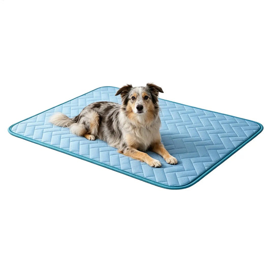 Dog Cooling Mat Summer Pet Cold Bed Pet - MyPetDollar.com