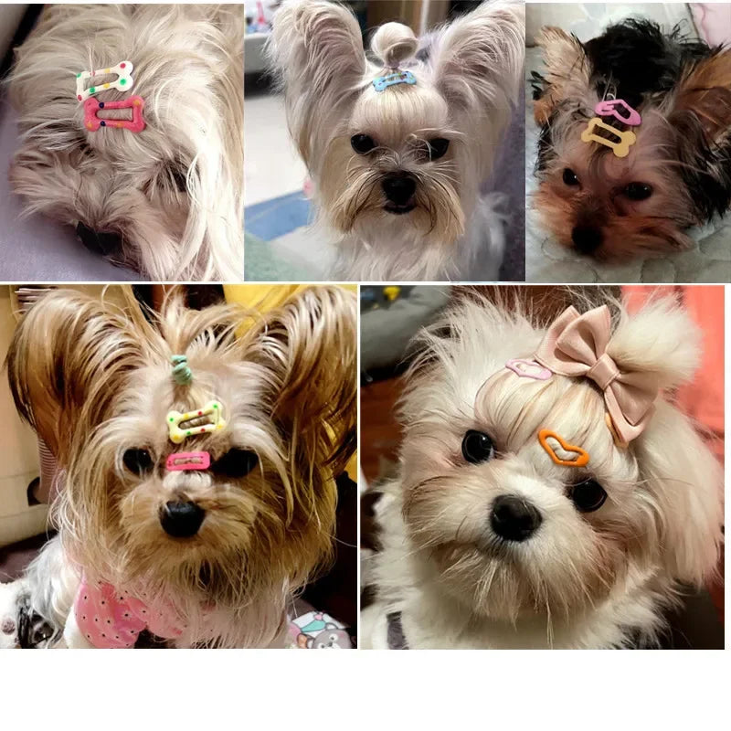 5/10/20pcs Dog Hair Clips Multicolor - MyPetDollar.com