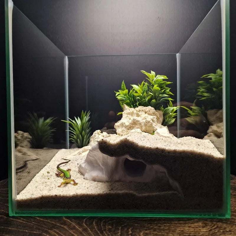 3D Printed High-Low Terrain Decor Dual-Use - MyPetDollar.com