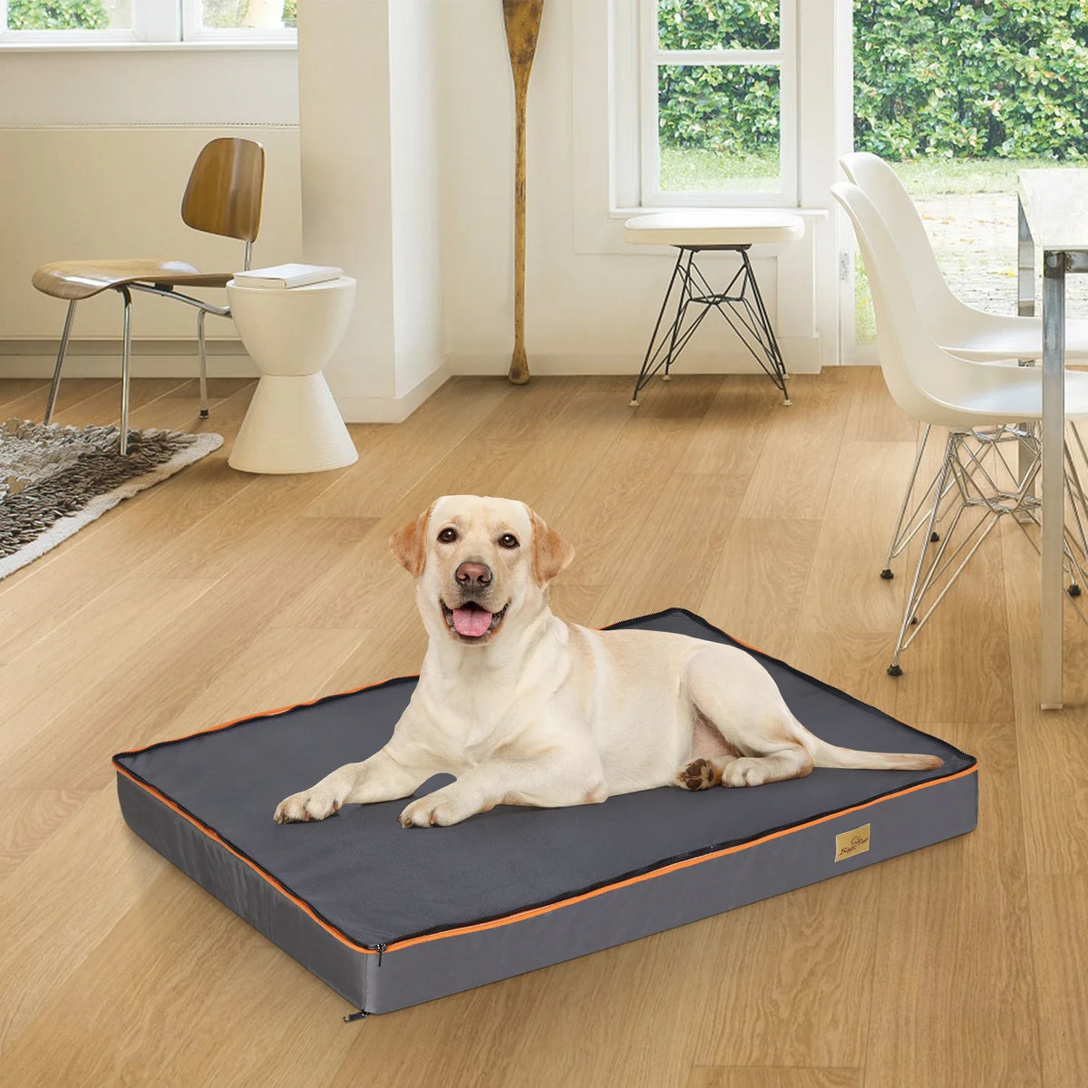 Dog Pet Bed Large Padded Orthopedic Dog Bed - MyPetDollar.com