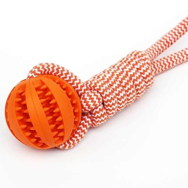 Pet Tooth Cleaning Pet Ball Toy with Rope - MyPetDollar.com