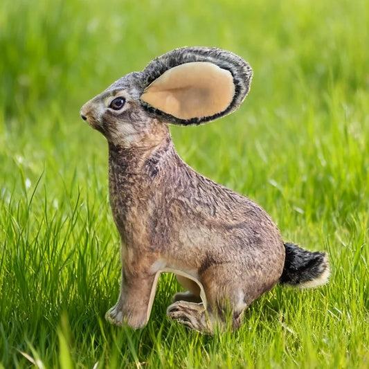 Squeaky Wild Rabbit Pet Chew Toy: Soft - MyPetDollar.com
