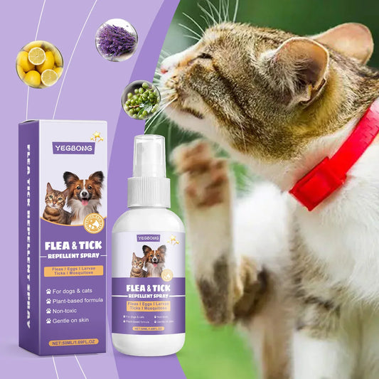 Pet Flea Repellent Spray Effectively - MyPetDollar.com