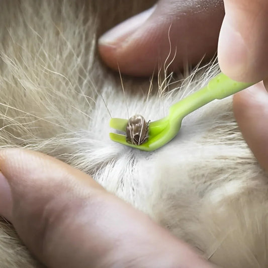 3 Pcs Portable Tick Hook Tweezer Extractor - MyPetDollar.com