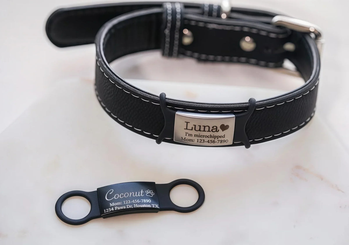 Silent Slide-On Dog Cat Collar Tag - MyPetDollar.com