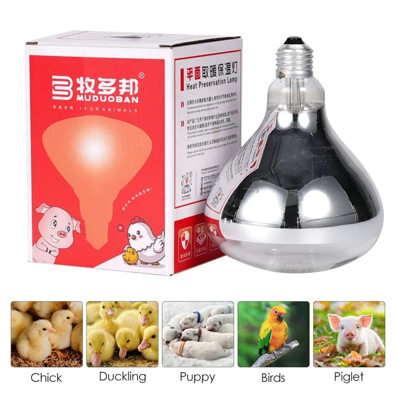 220V 100W/150W/200W/250W Thickened Heating - MyPetDollar.com