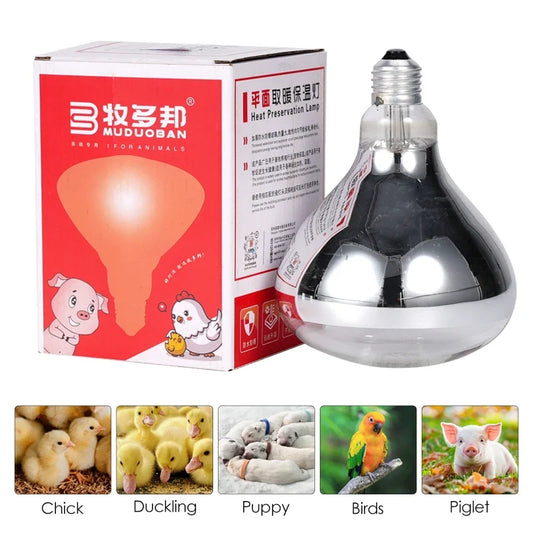 220V 100W/150W/200W/250W Thickened Heating - MyPetDollar.com