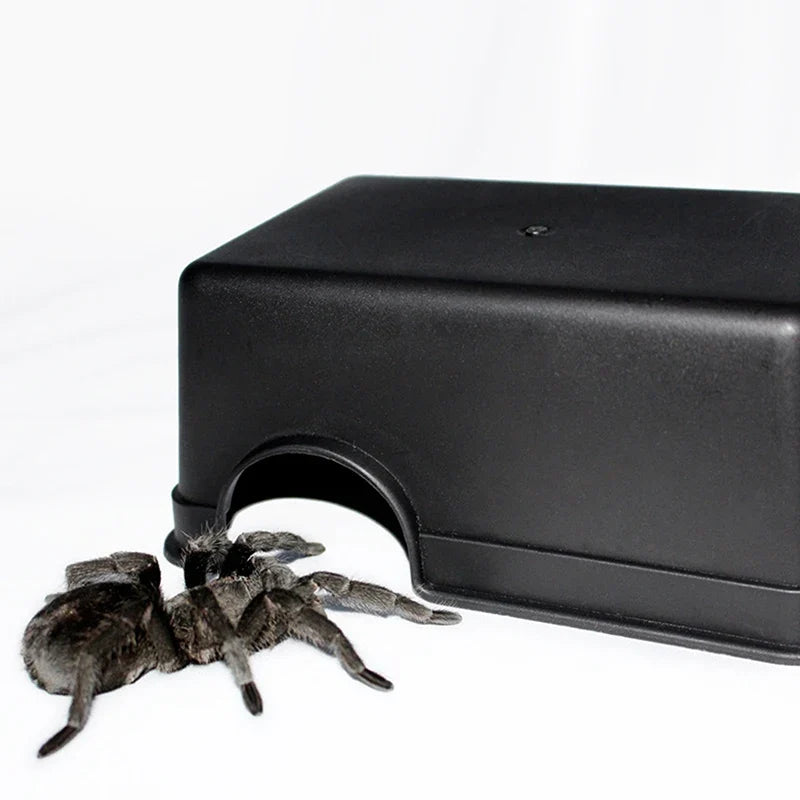 * Turtle Lizard Snake Hide Rest Cave - MyPetDollar.com