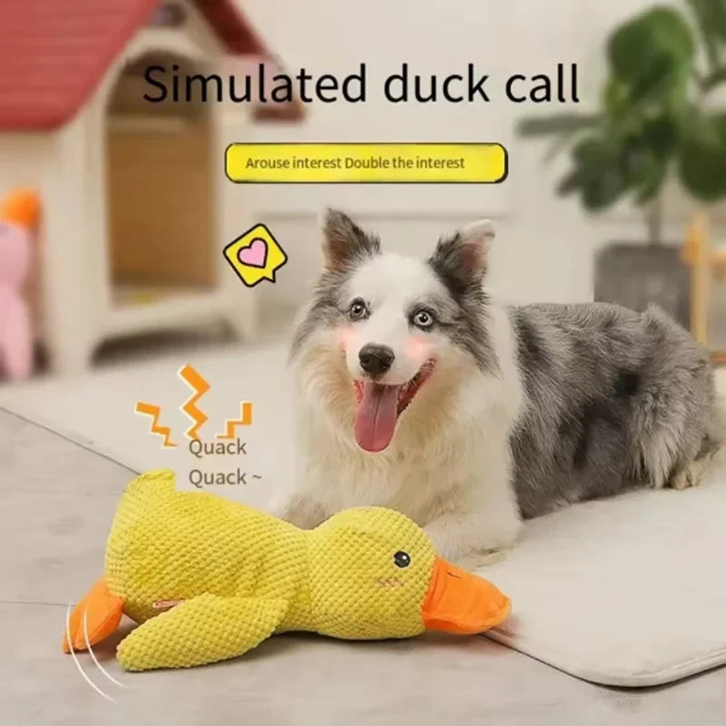 Yellow Duck Plush Toy, Dog Sleeping - MyPetDollar.com