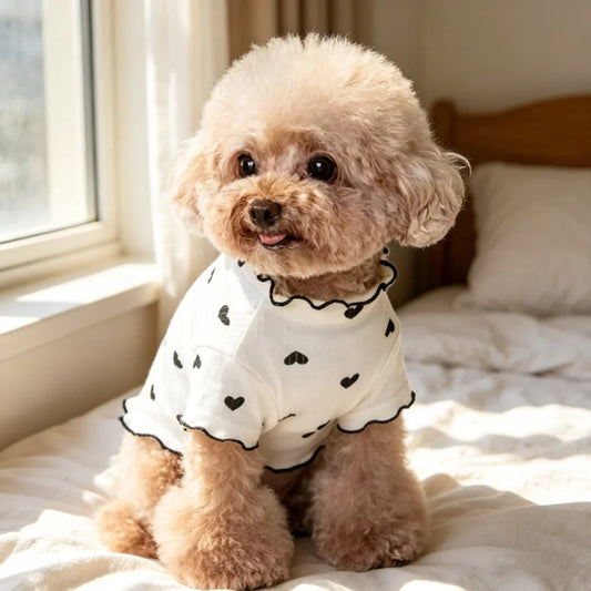 1pc Pet cat and dog love base vest, new cute - MyPetDollar.com