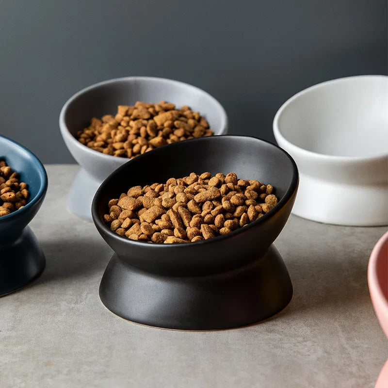 Elevated Cat Bowls Small Dog 15° Tilted - MyPetDollar.com