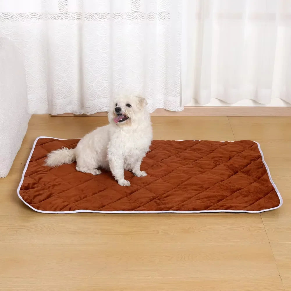 Self-Warming Pet Blanket for Outdoor Use - - MyPetDollar.com