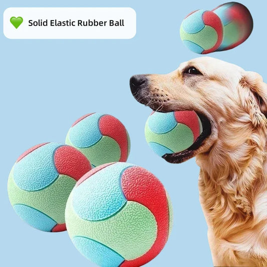Bouncy Ball Toys Pet Dog Toys Bite Resistant - MyPetDollar.com