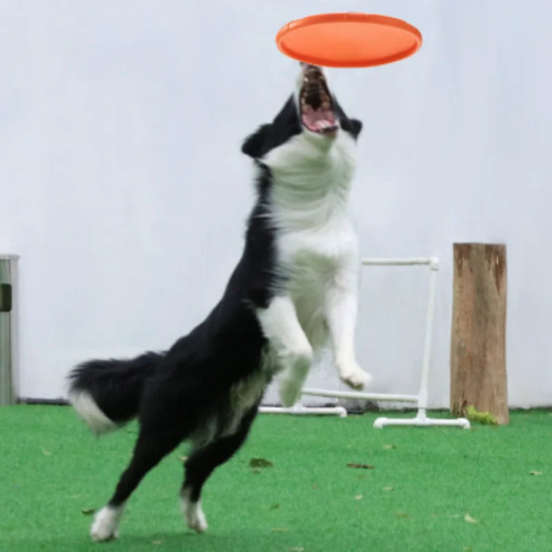 Interactive Silicone Flying Saucer Toy for - MyPetDollar.com