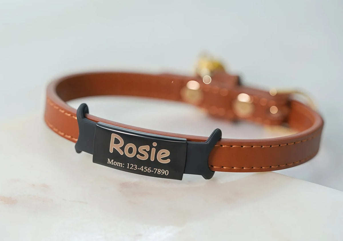 Silent Slide-On Dog Cat Collar Tag - MyPetDollar.com