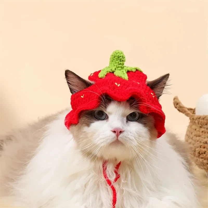 Cat Hats Elastic Cute Puppy Kittens Hat - MyPetDollar.com