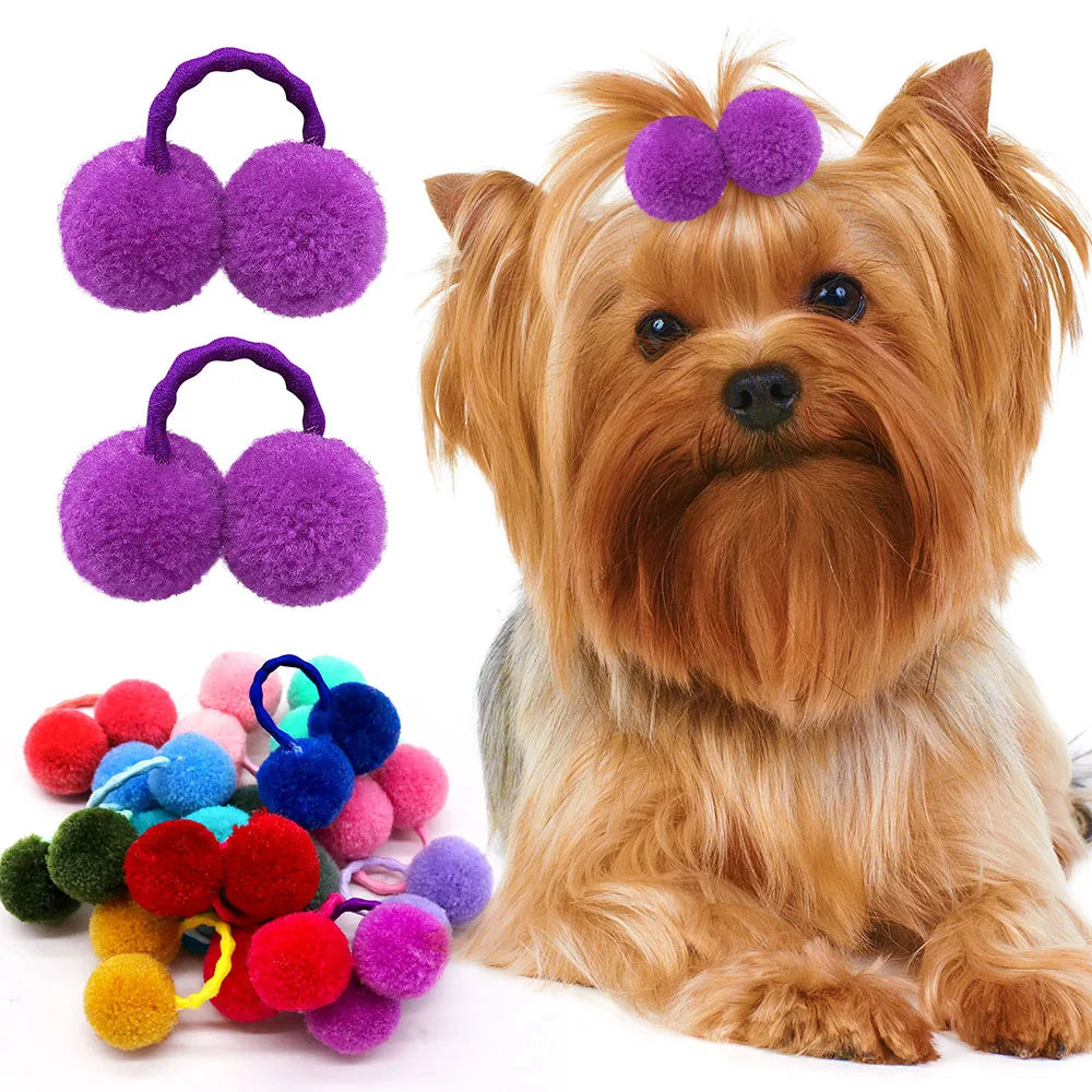 20/30PCS Fashion Pet Hair Accessories - MyPetDollar.com