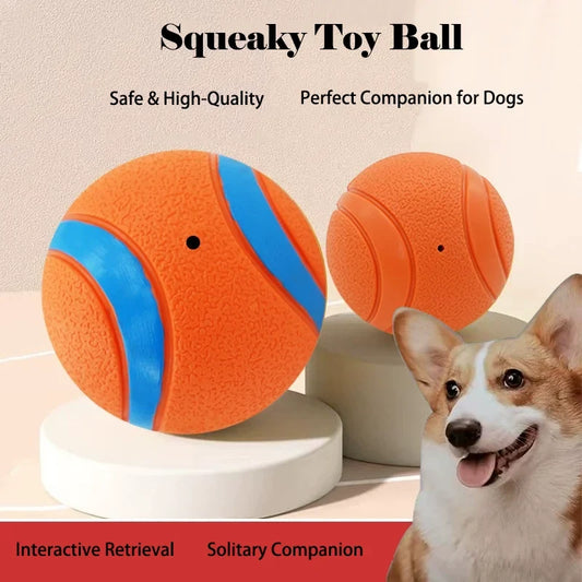 Durable Squeaky Dog Ball Toy Indestructible - MyPetDollar.com