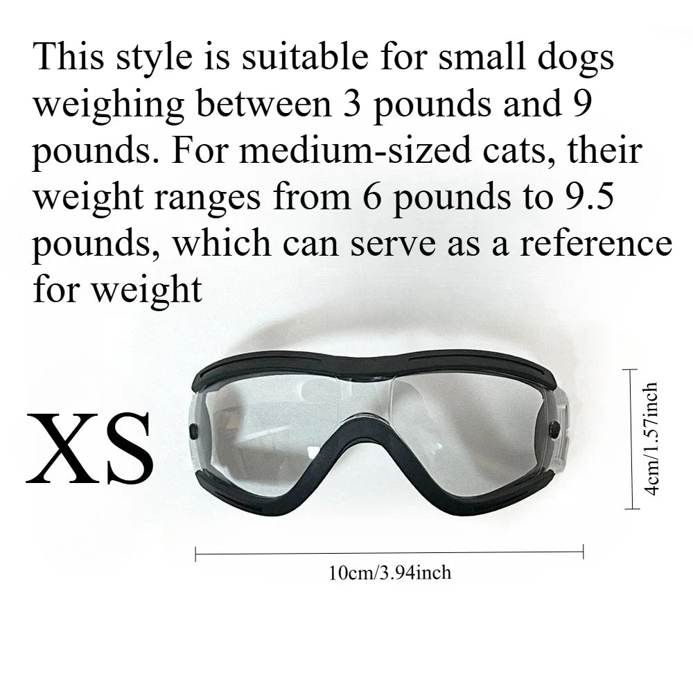 XS Maltese, Chihuahua, Yorkshire Terrier - MyPetDollar.com