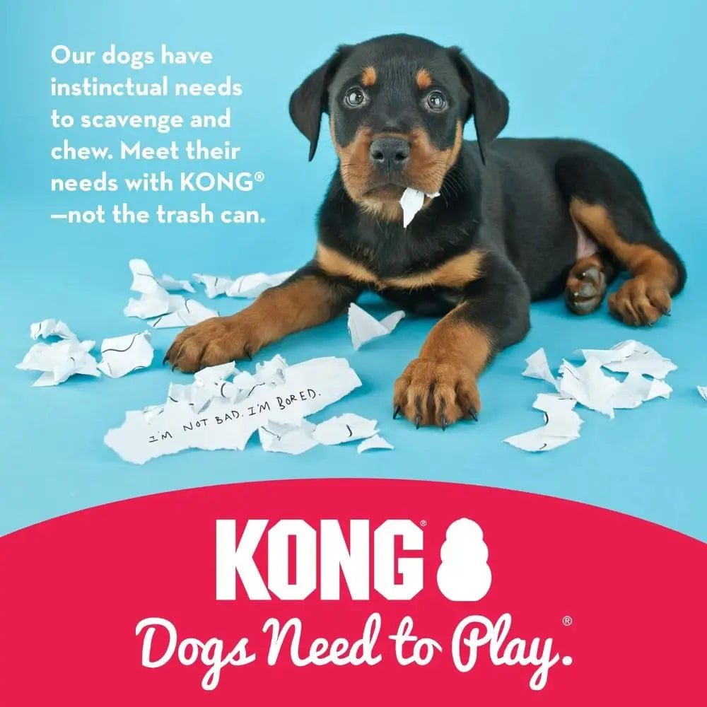 New Classic Kong Dog Stuffable Erratic - MyPetDollar.com