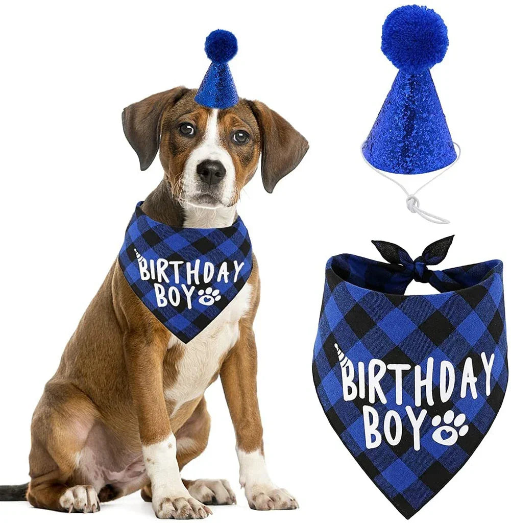 Pets Dog Happy Birthday Decoration Dog - MyPetDollar.com