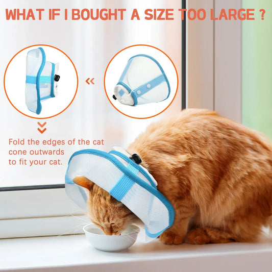 A fashionable contrast color stitching pet - MyPetDollar.com