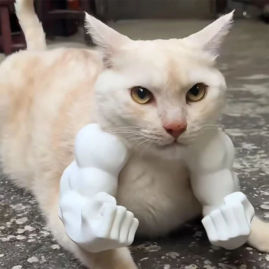 Funny Cat Muscle Arm 3D Printed Invincible Hulk Pet, Interactive