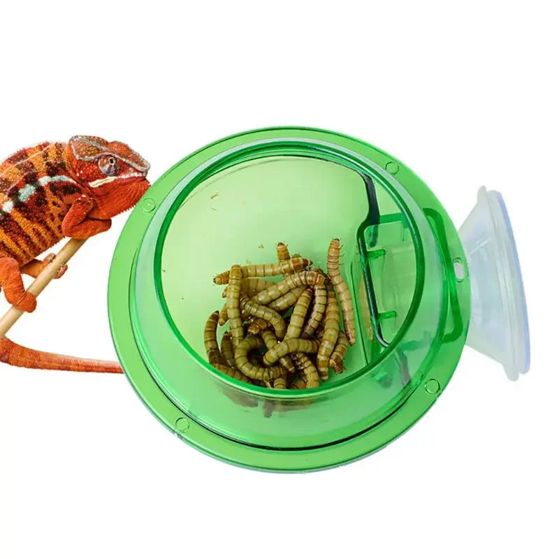 Reptile Pet Feeding Bowl Clear Anti-escape - MyPetDollar.com